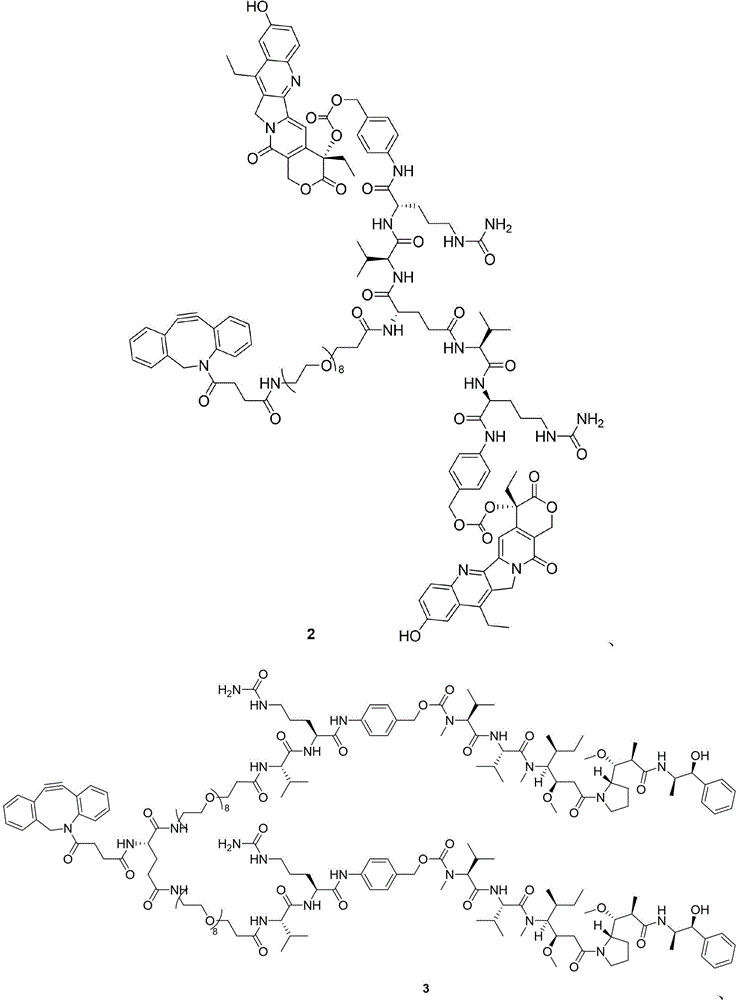 Figure BDA0003850165580000251