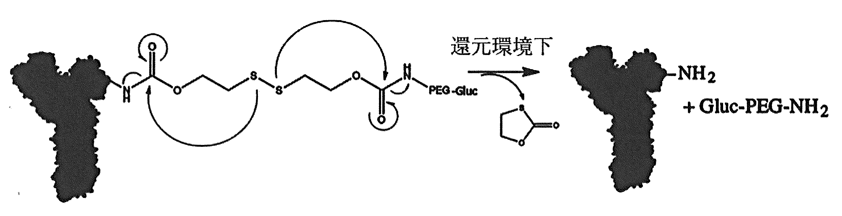 Figure JPOXMLDOC01-appb-C000001