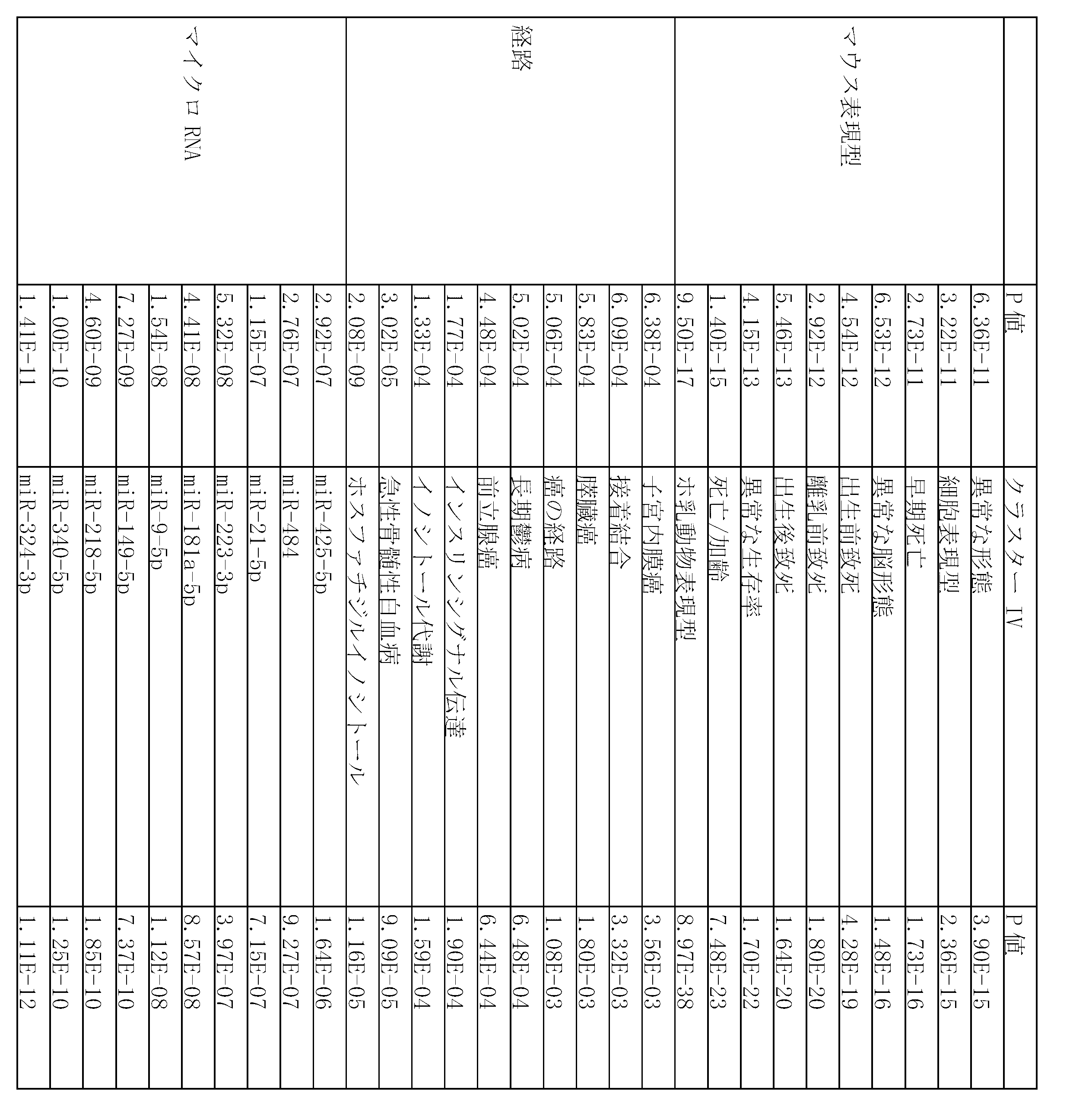 Figure 0007303743000006