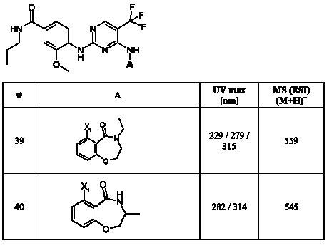 Figure 112007017455351-pct00096
