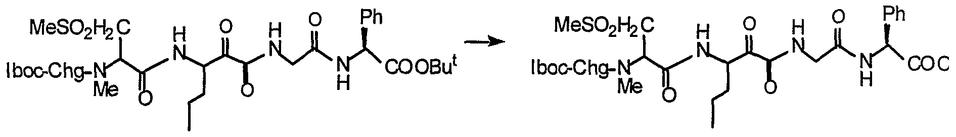 Figure imgf000061_0001