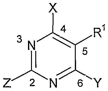 Figure imgf000010_0001