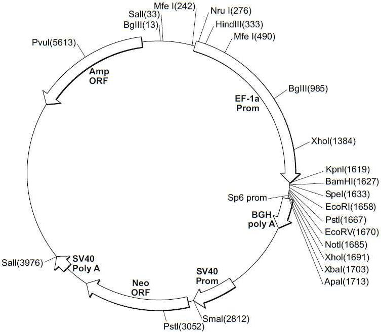 Figure R1020147032890