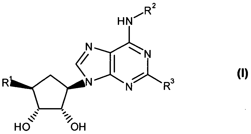 Figure imgf000002_0001