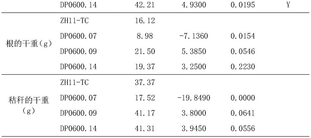 Figure BDA0001836846780000301