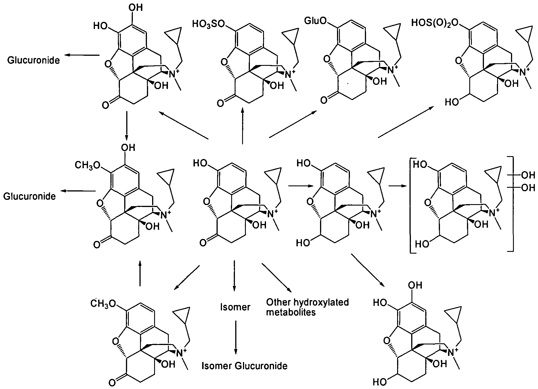 Figure imgf000015_0001