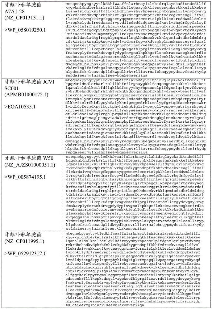 Figure BDA0002313867470003621