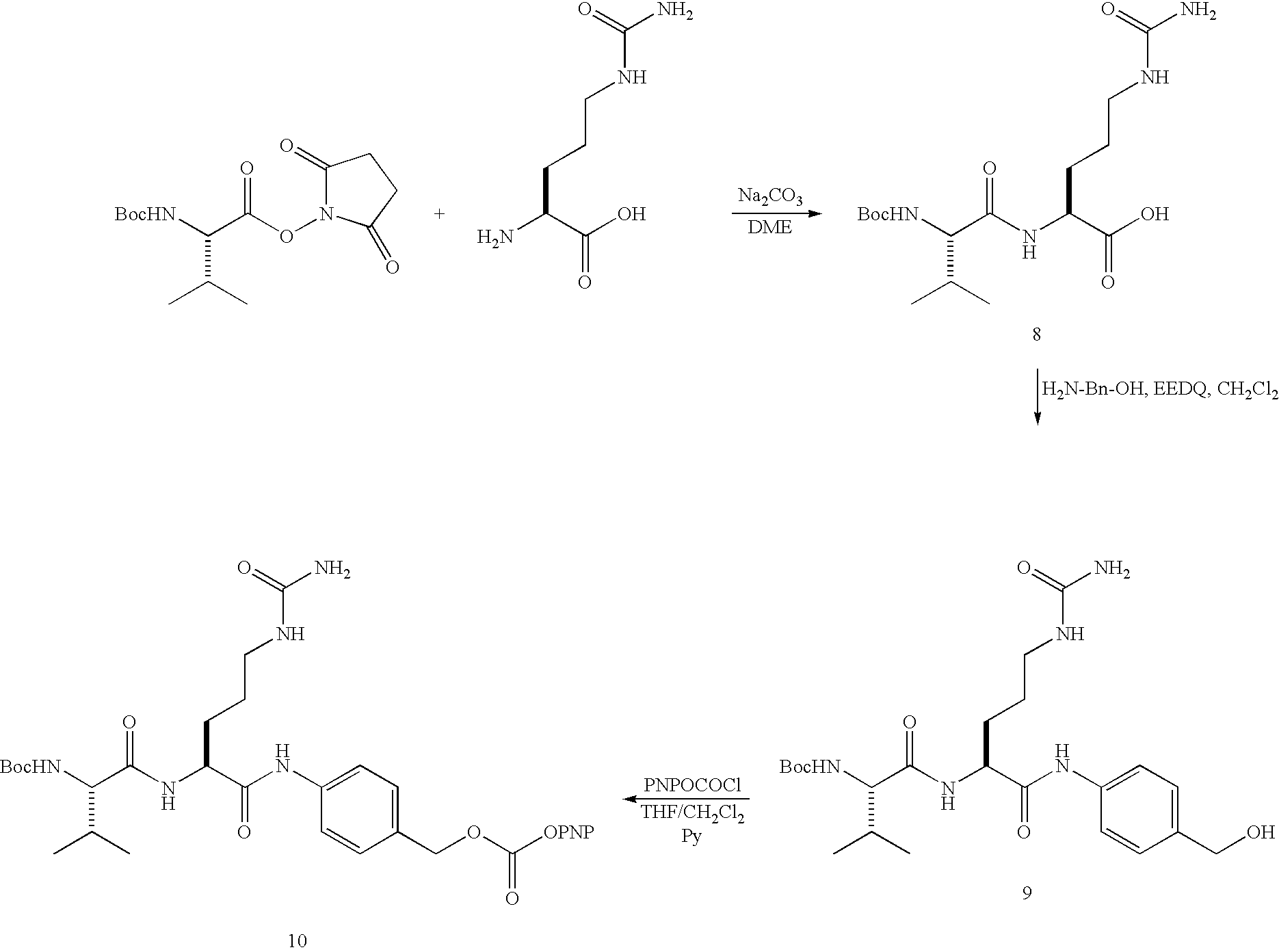 Figure US20080279868A1-20081113-C00091