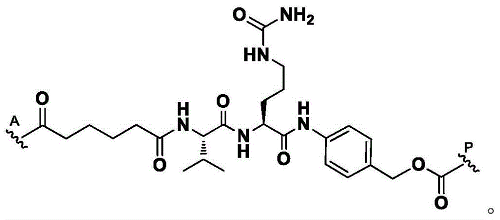 Figure BDA0003817518590000514