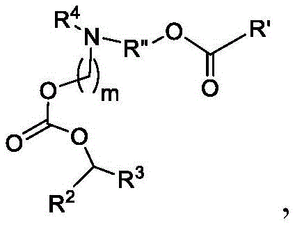 Figure BDA0003652566710001292