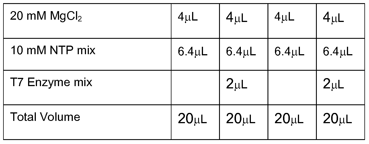 Figure imgf000032_0001