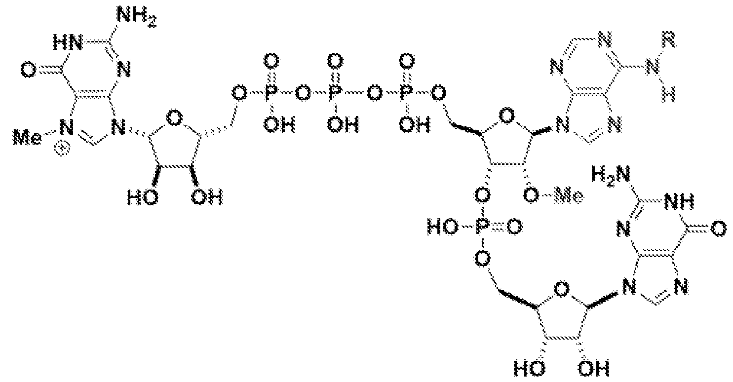 Figure imgf000037_0002
