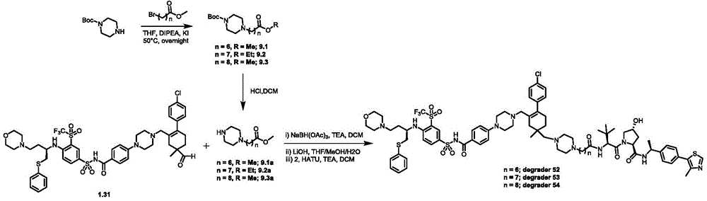 Figure BDA0003293294510001581