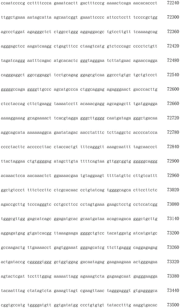 Figure IDA0003936212790001561