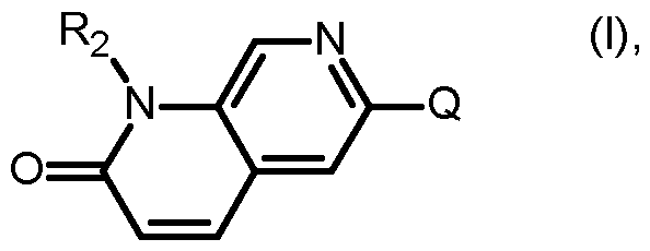 Figure imgf000002_0001