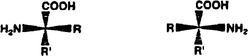 Figure B2005800295435D00271