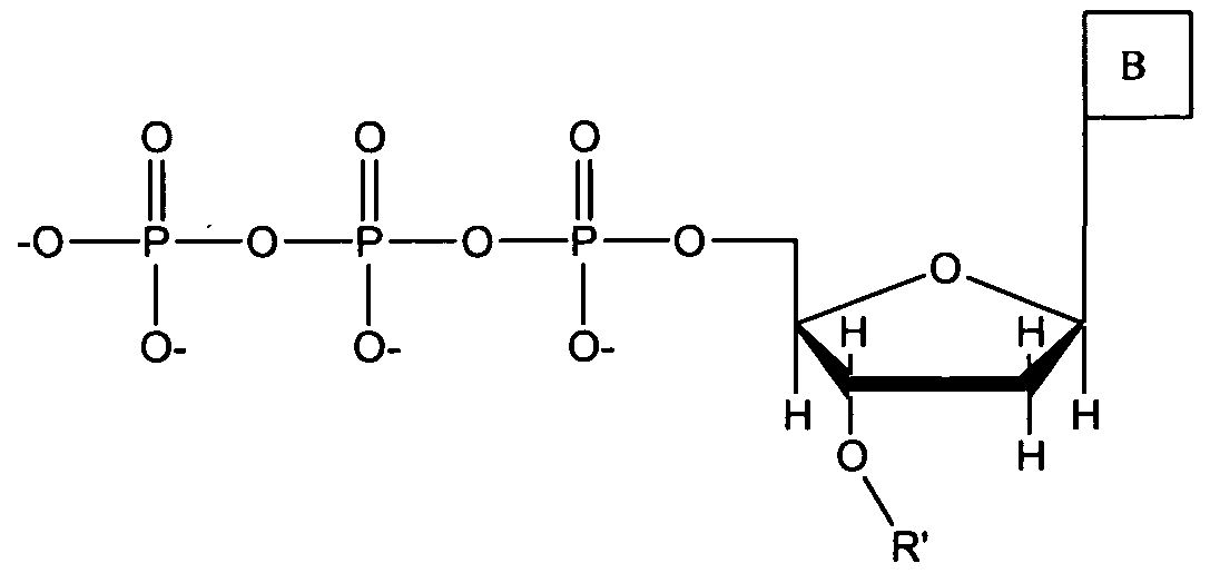 Figure imgf000119_0001