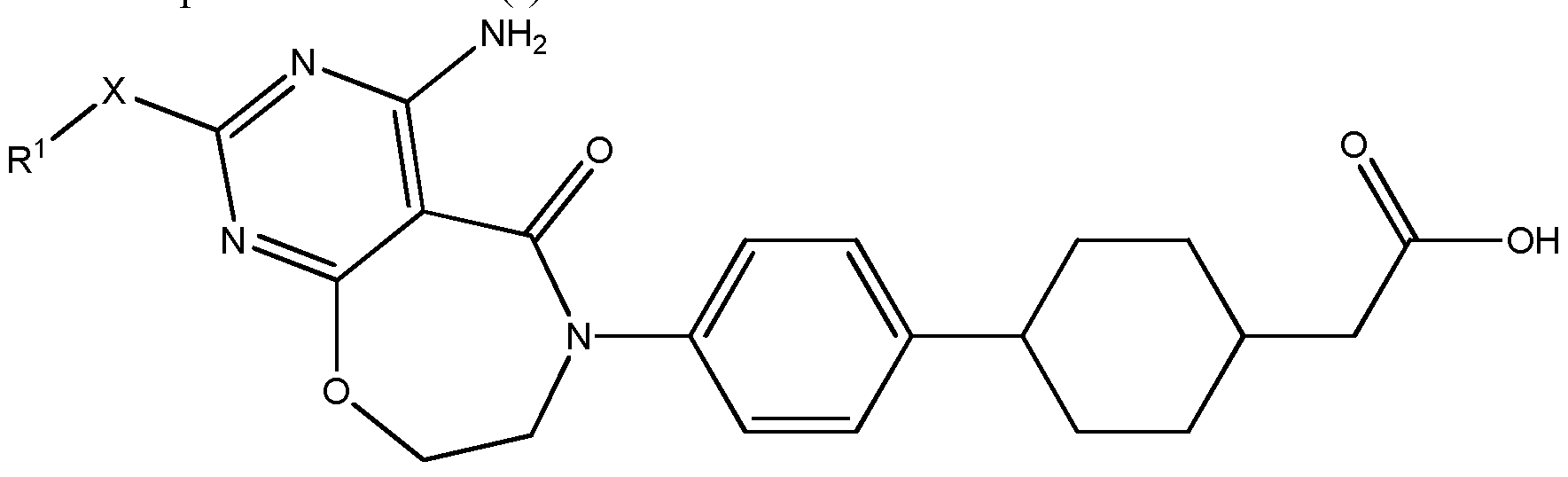 Figure imgf000004_0001