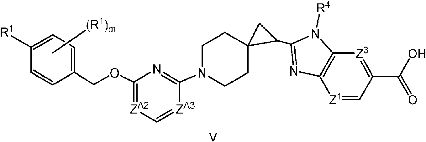 Figure imgf000007_0003