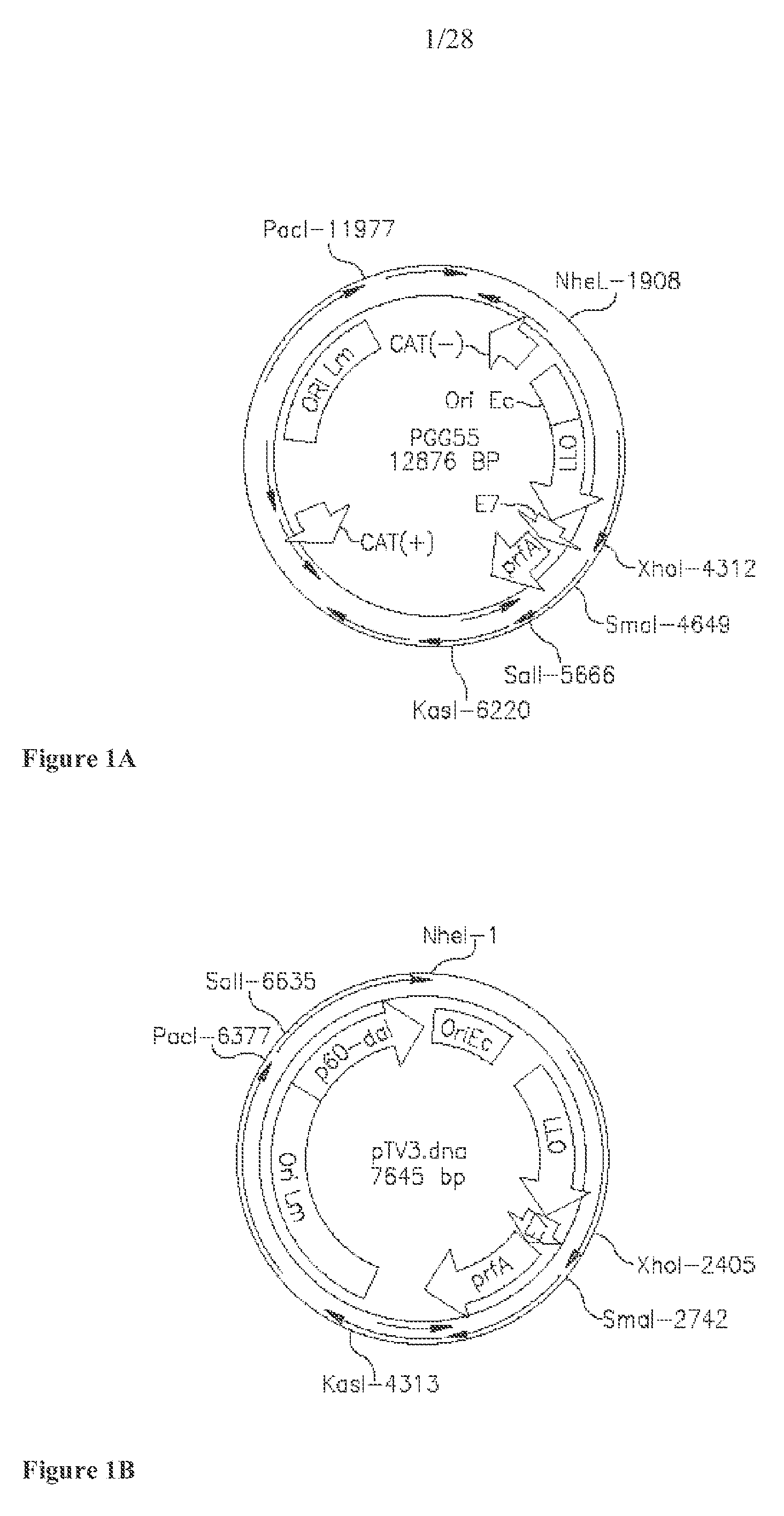 Figure imgf000094_0001