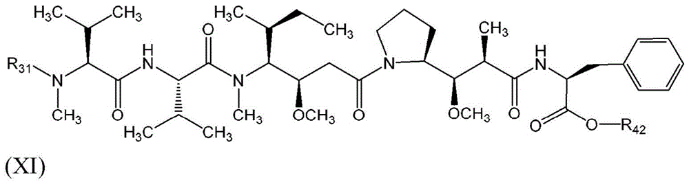Figure BDA0003135424430001191