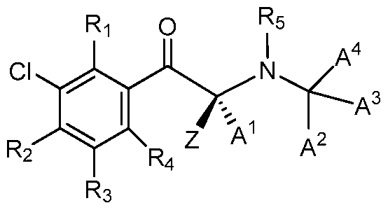 Figure imgf000009_0001