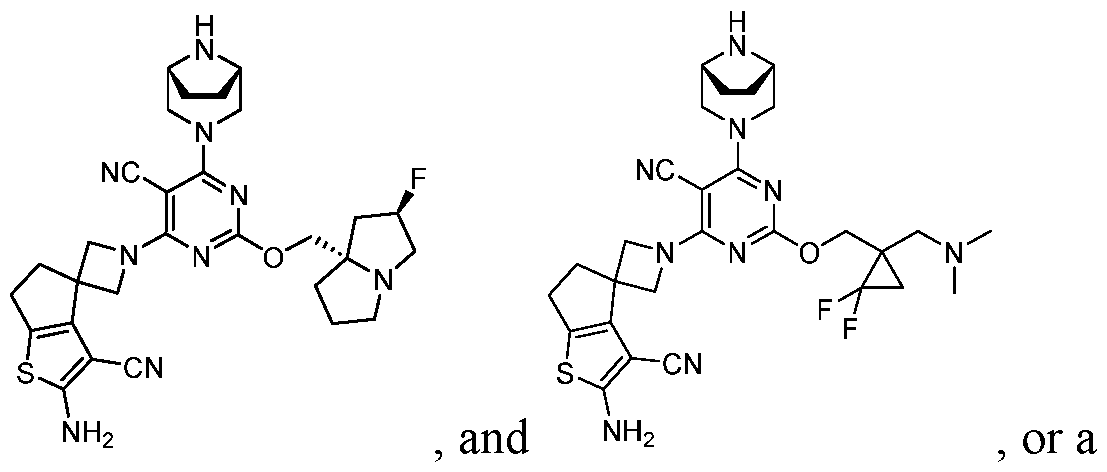 Figure imgf000012_0001
