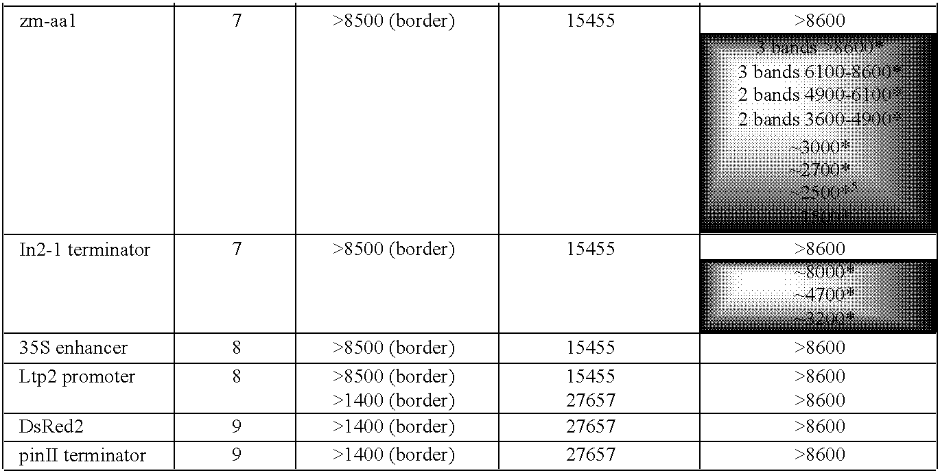 Figure US20090210970A1-20090820-C00002