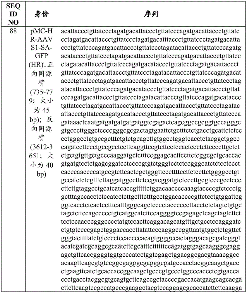 Figure BDA0003657959080002071