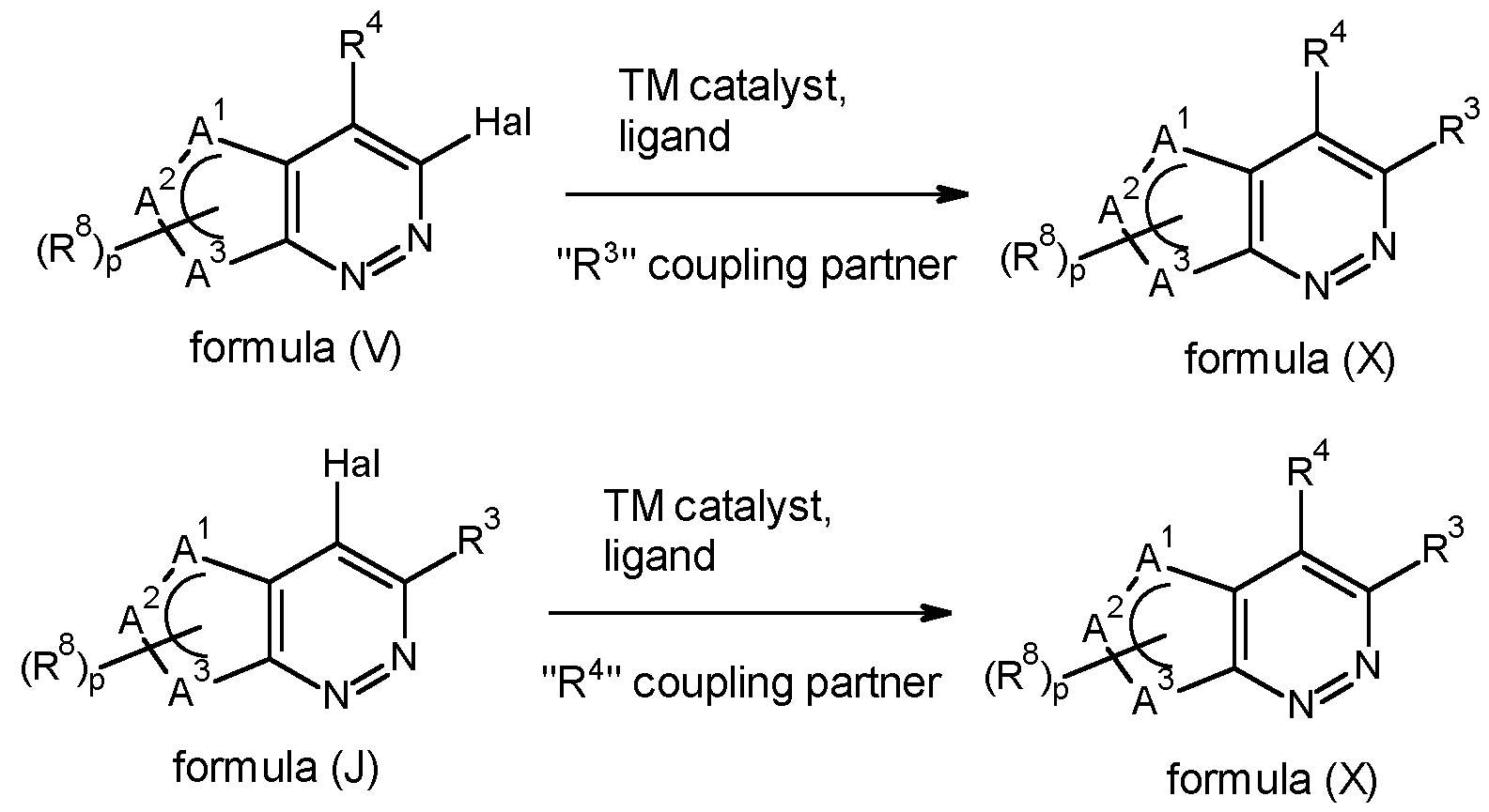 Figure imgf000040_0004