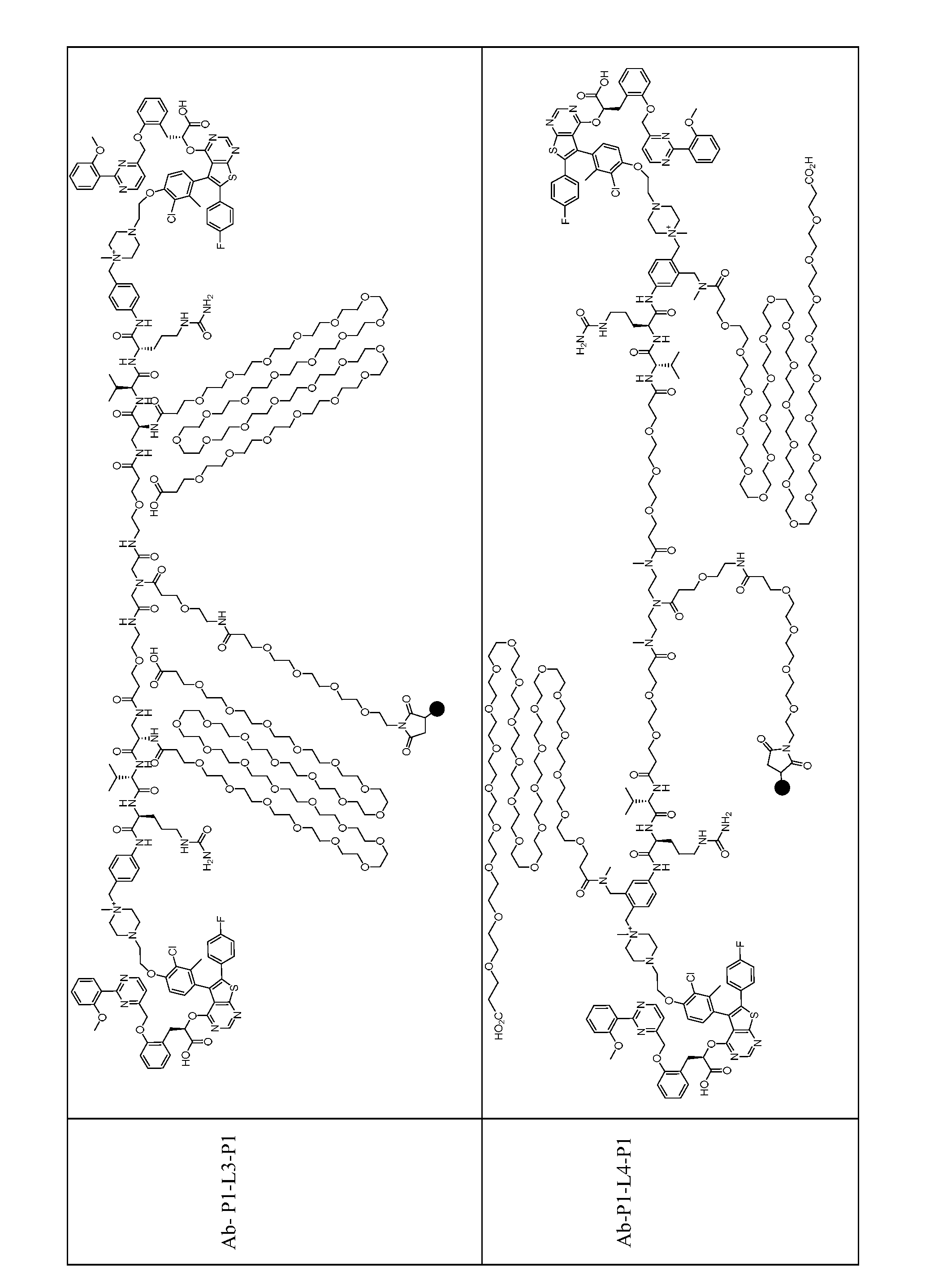 Figure imgf000159_0001