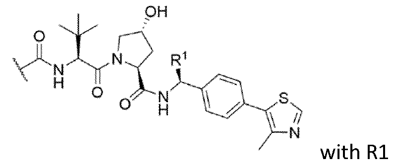 Figure imgf000033_0003