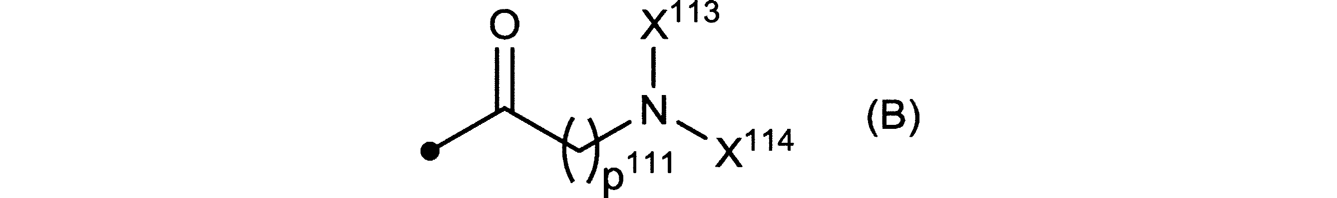 Figure JPOXMLDOC01-appb-C000029