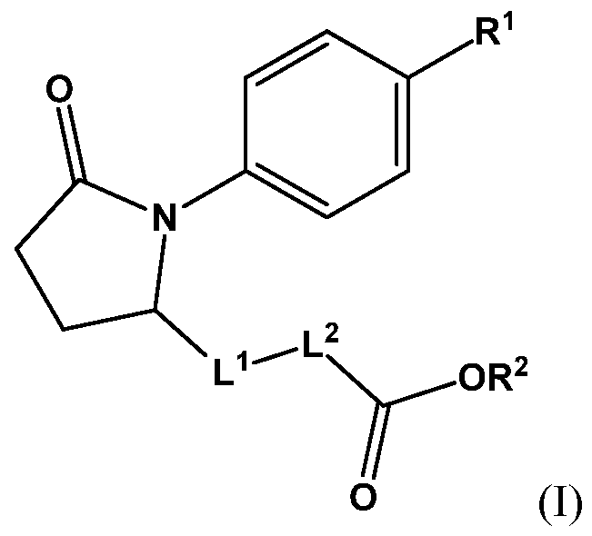 Figure imgf000054_0001