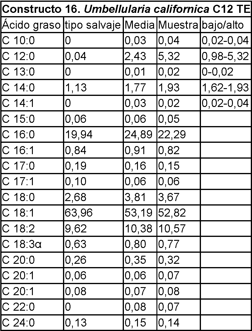 Figure imgf000071_0001