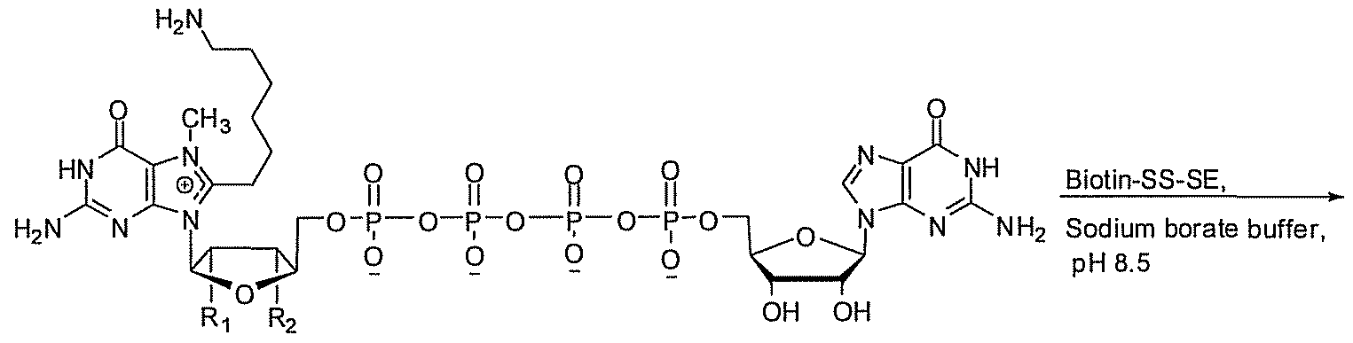 Figure imgf000044_0002