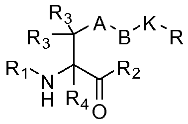 Figure imgf000016_0004