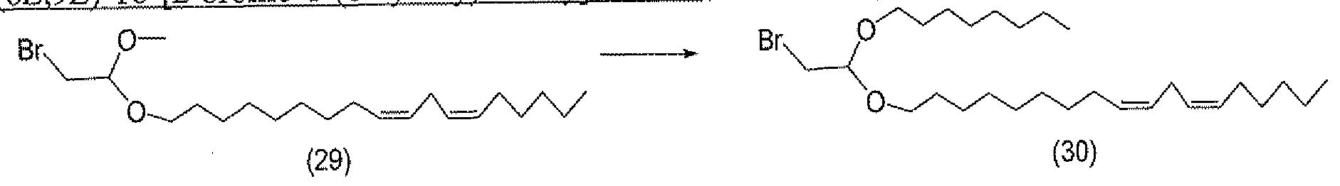 Figure imgf000029_0002