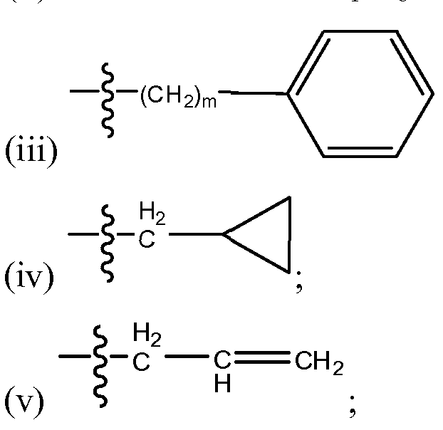 Figure imgf000007_0002