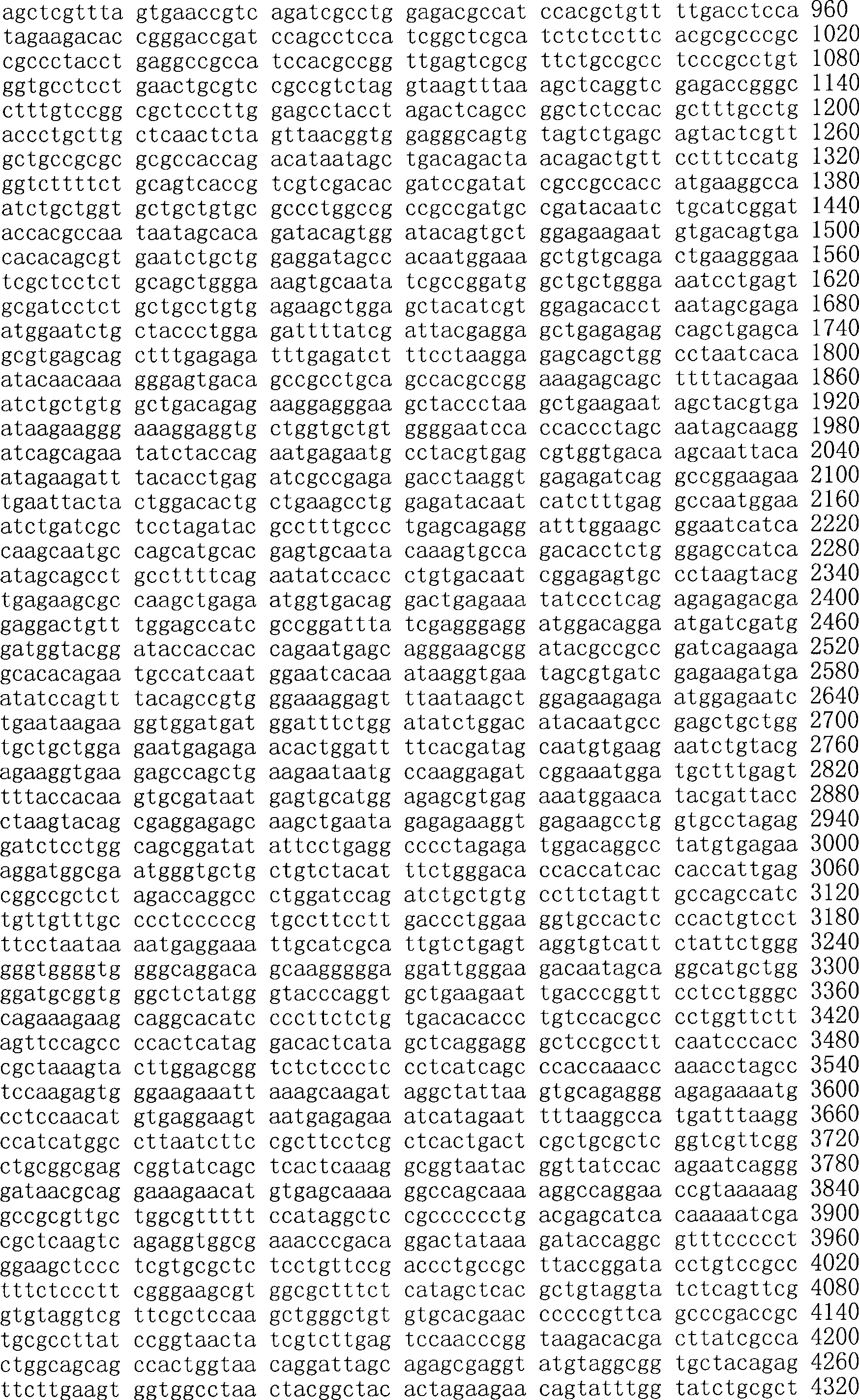 Figure A200780009494D03691