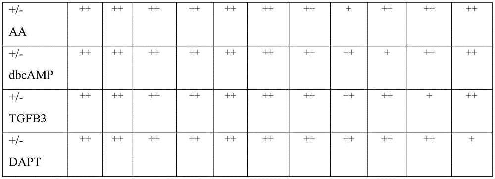 Figure RE-GDA0002236586560001371