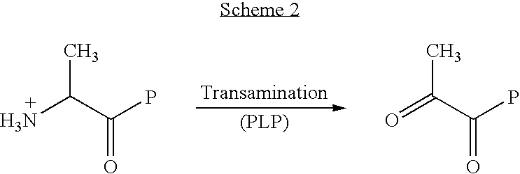 Figure US20100099649A1-20100422-C00013