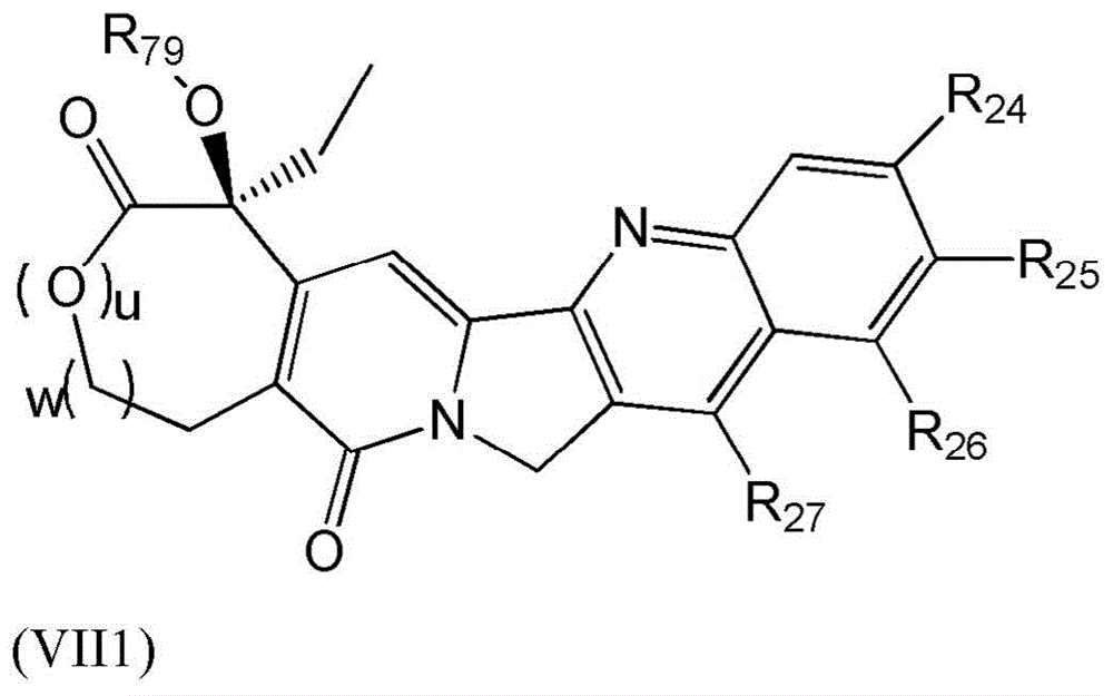 Figure BDA0003135424430001001
