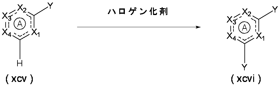 Figure JPOXMLDOC01-appb-C000236