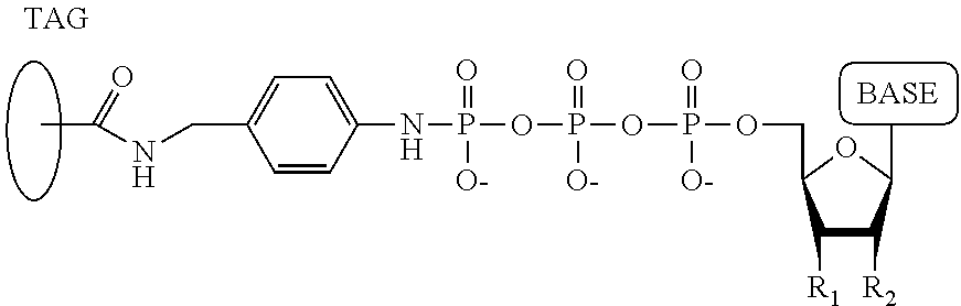 Figure US20130264207A1-20131010-C00039
