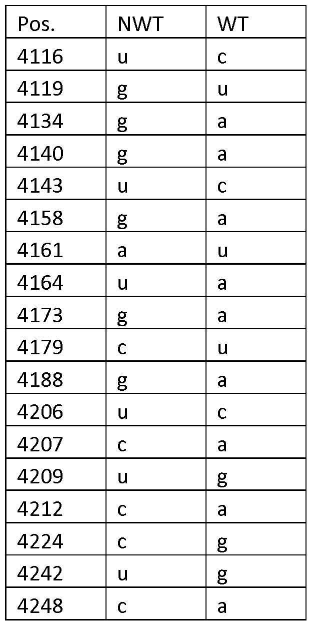 Figure imgf000035_0001