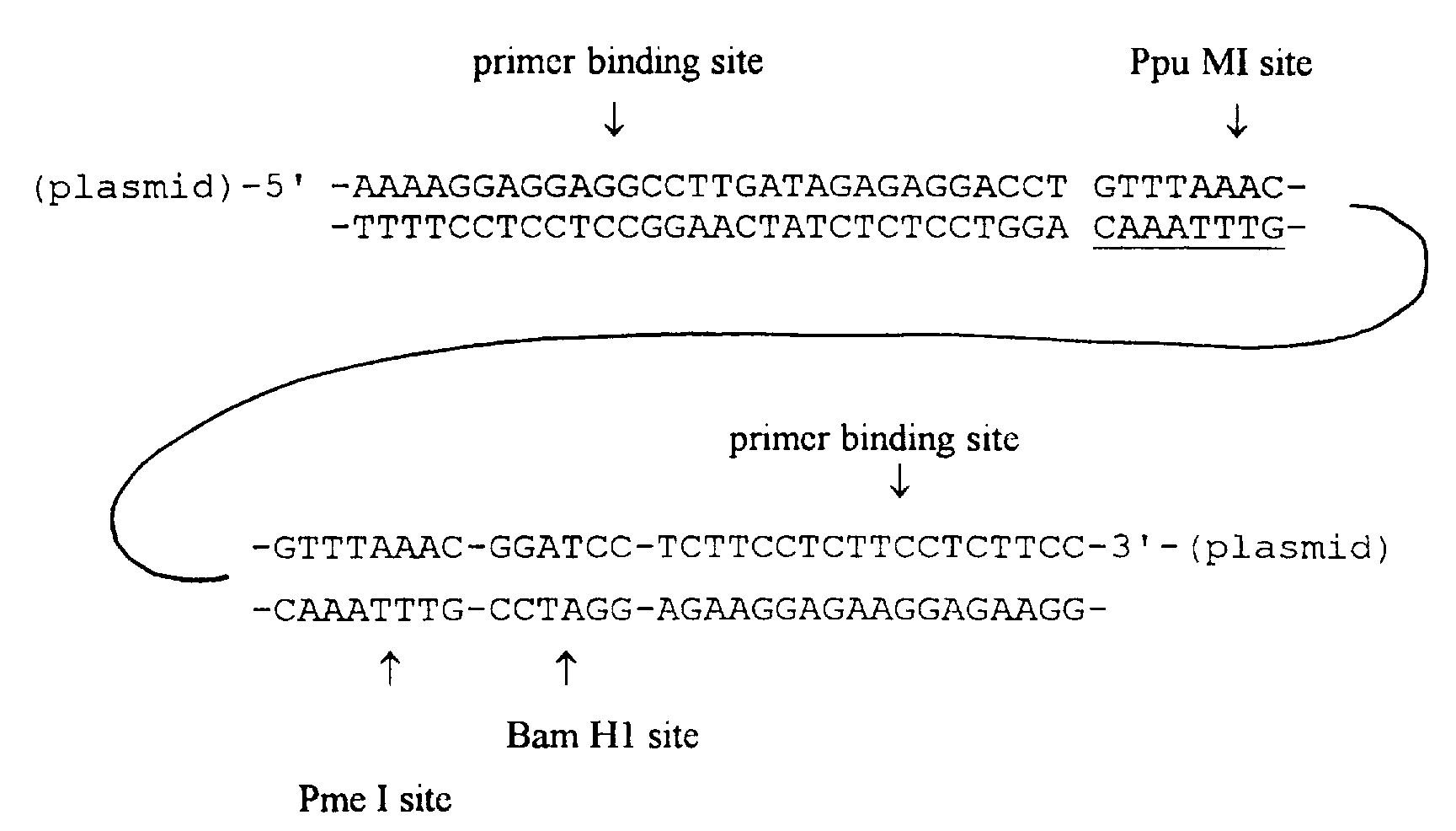 Figure imgf000042_0001