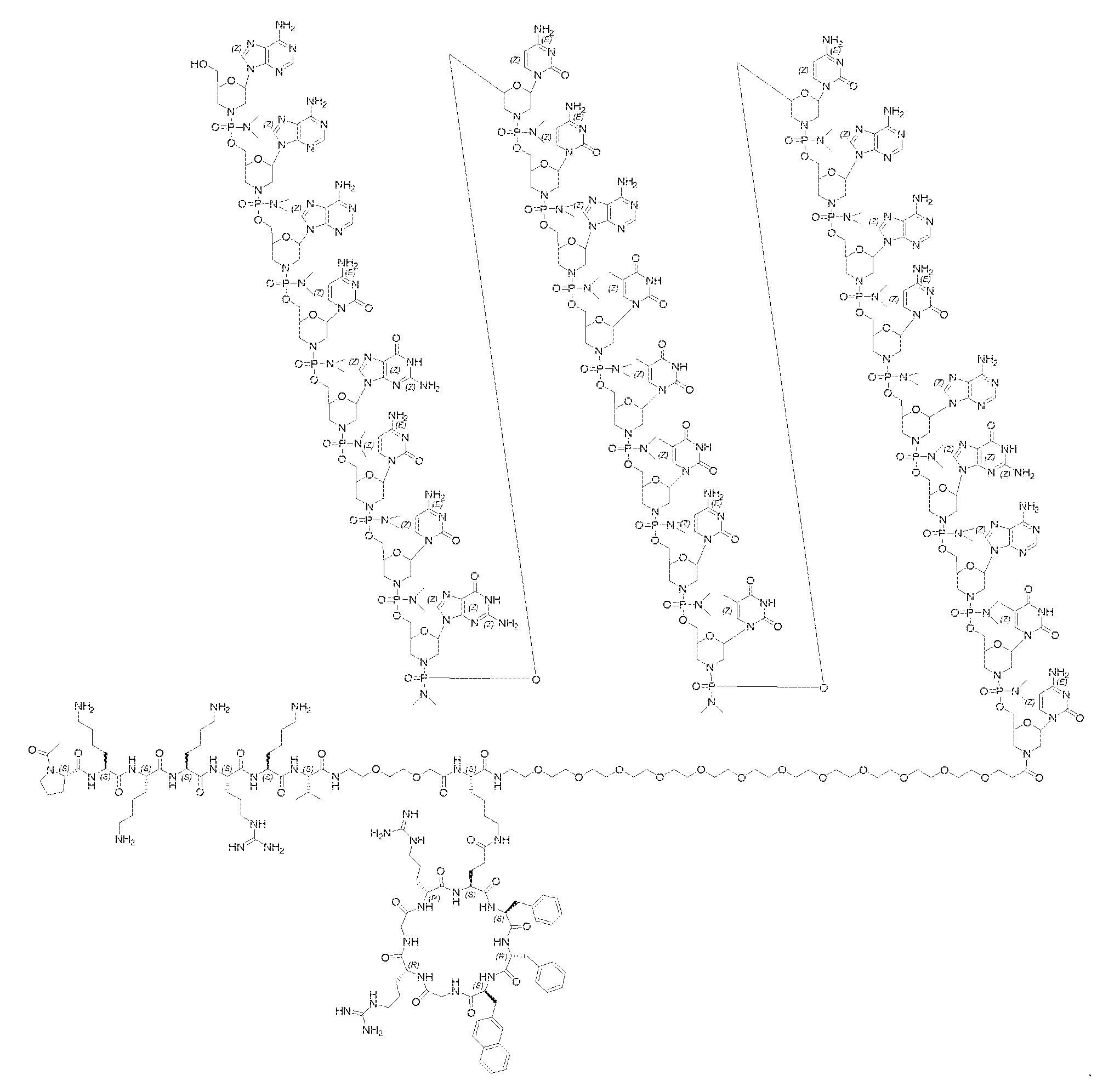 Figure imgf000187_0001