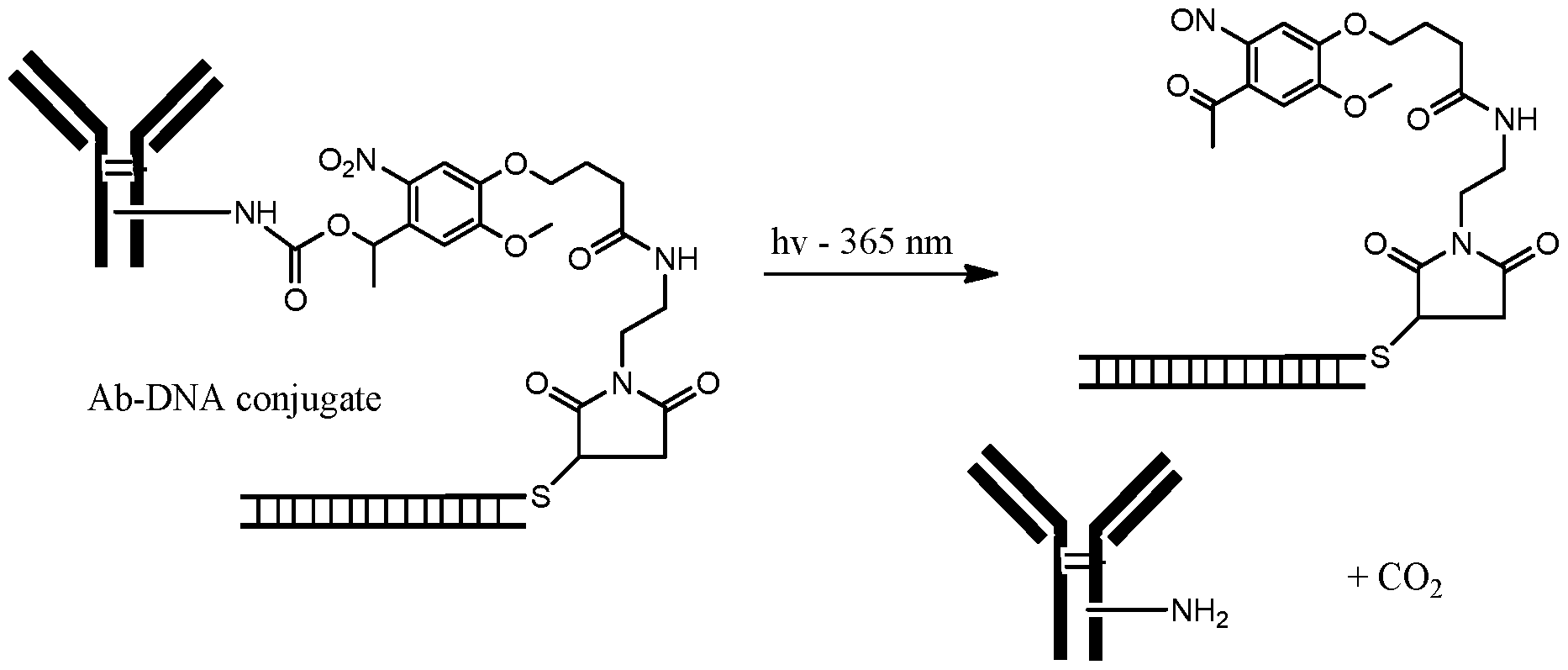 Figure imgf000148_0003