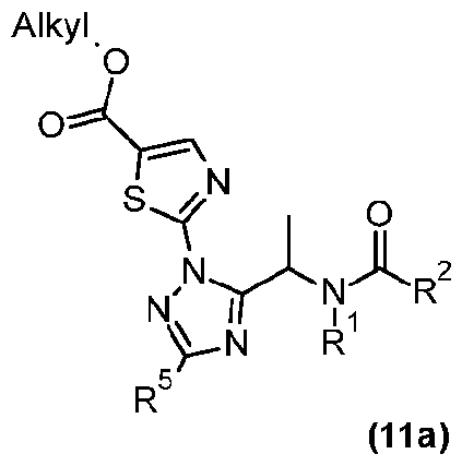 Figure imgf000012_0002